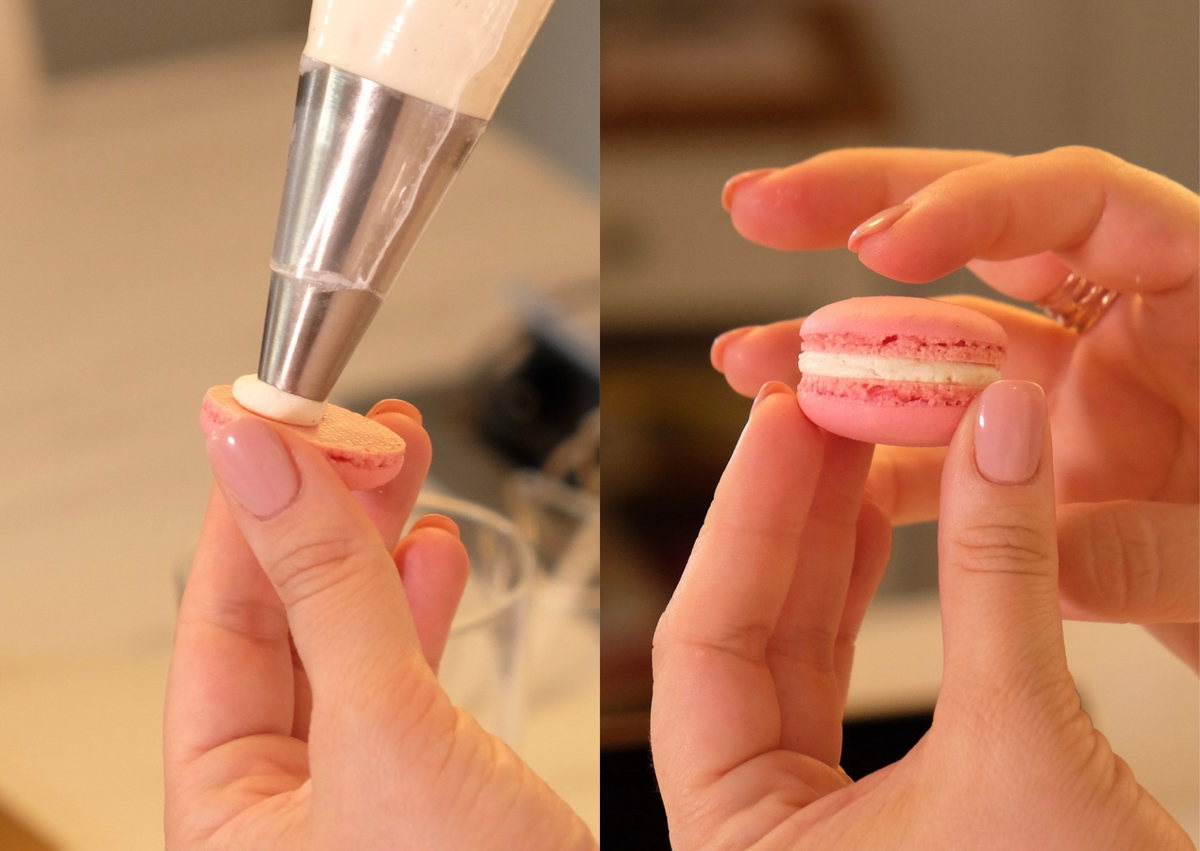 Macaron Teamevent &amp; Workshop bei Frankfurt