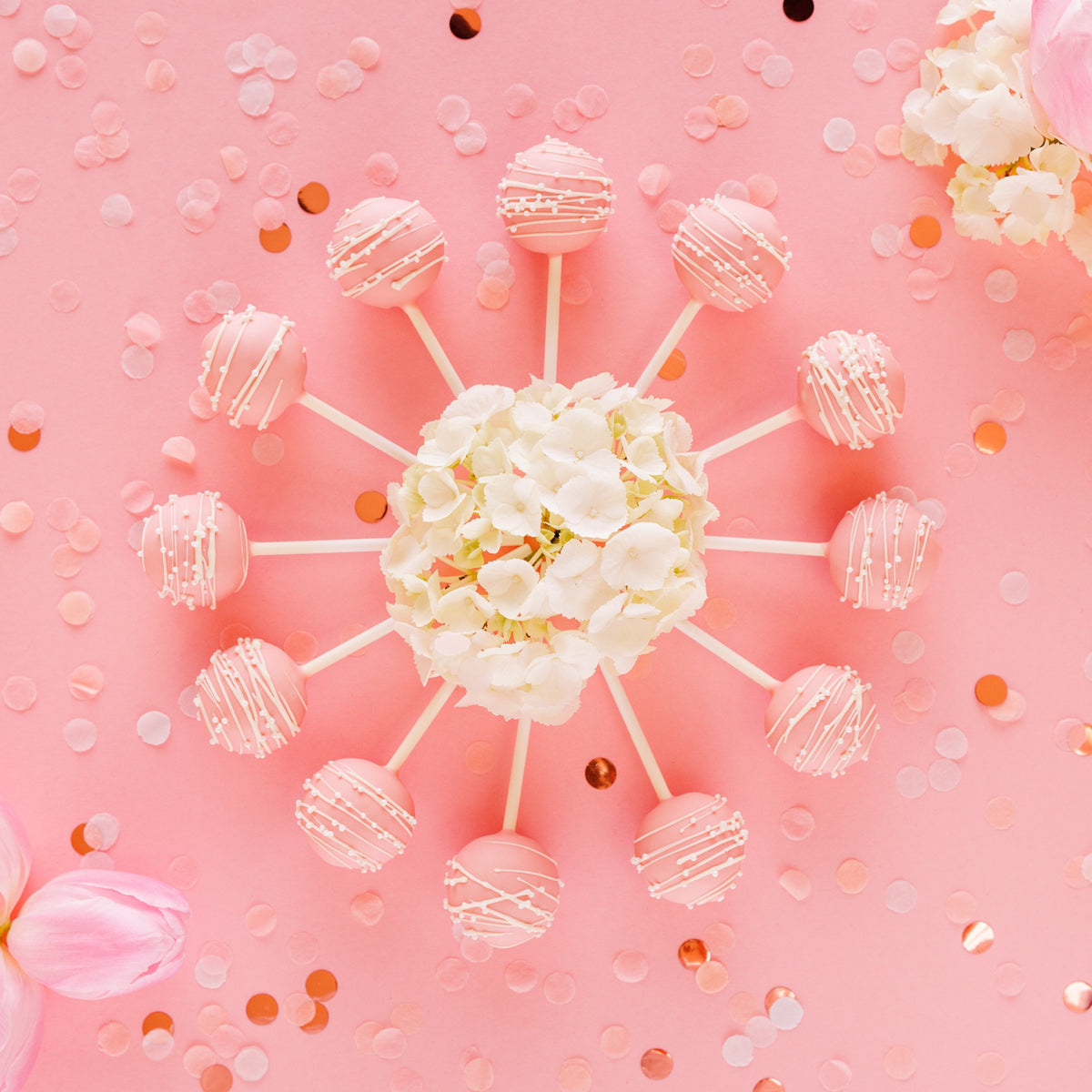 Cake Pop Kurs mit Ewa Feix – Einführung in Geheimnisse und Tipps