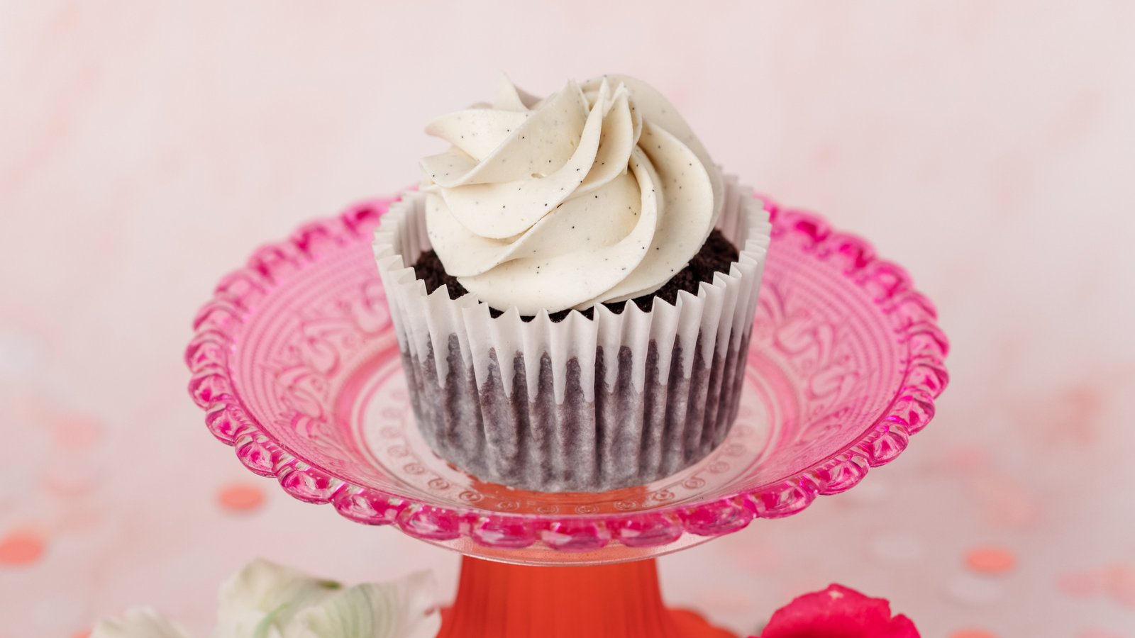 Belgian Chocolate Cupcakes with Vanilla Buttercream