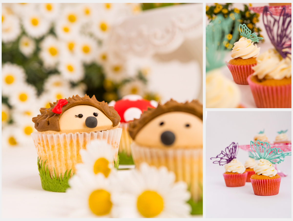 Private One-to-One Masterclass – Individual &amp;amp; intensive